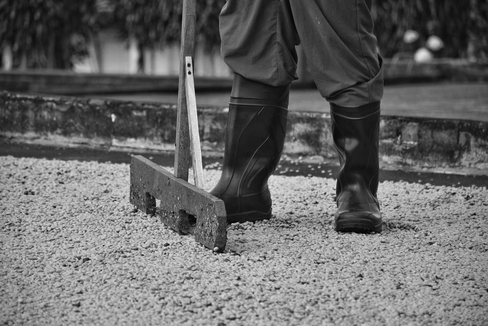 The Origin of Pura Vida Roast